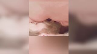 Curvy MILF couple anal