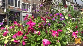 Alice, hot milf, goes wild with two dicks